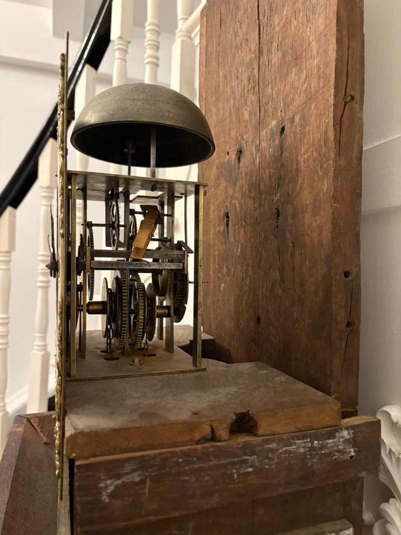 Outstanding Quality Antique George III Oak and Burr Oak Brass Face Longcase Clock - Image 7